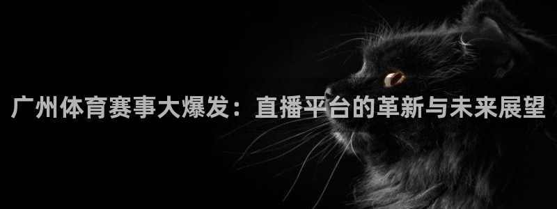 黑白直播足球比赛：广州体育赛事大爆发：直播平台的革新与未来展望