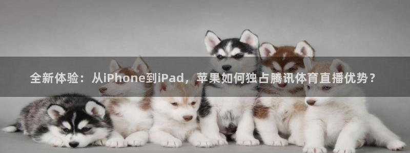 黑白直播在线观看比赛：全新体验：从iPhone到iPad，苹果如何独占腾讯体育直播优势？