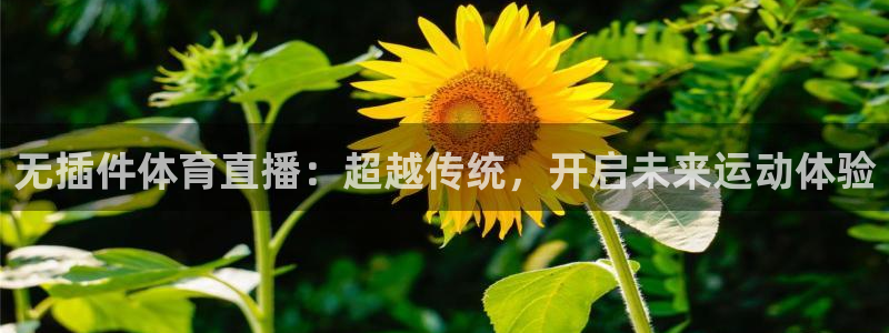 黑白直播app：无插件体育直播：超越传统，开启未来运动体验
