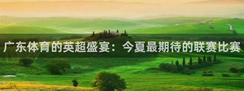 黑白直播足球：广东体育的英超盛宴：今夏最期待的联赛比赛