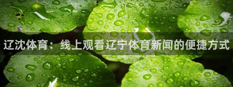 足球黑白直播：辽沈体育：线上观看辽宁体育新闻的便捷方式
