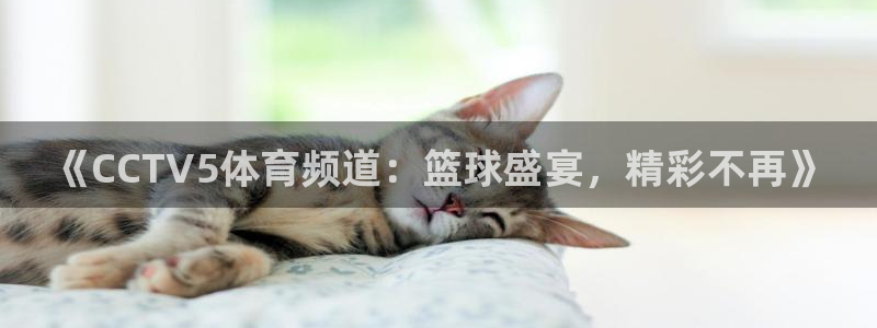 黑白直播免费体育直播高清：《CCTV5体育频道：篮球盛宴，精彩不再》