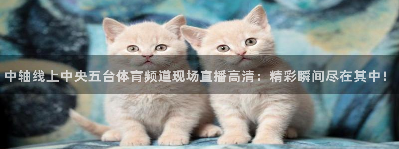 黑白直播下载app：中轴线上中央五台体育频道现场直播高清：精彩瞬间尽在其中！